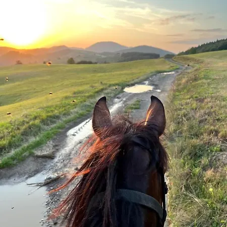 Dome Tents Taor Parc de vacanță